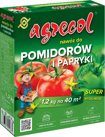 55585_52817
