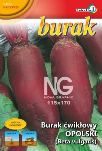 Burak cylindryczny Opolski 5g  / L /