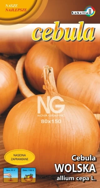 58292_53256