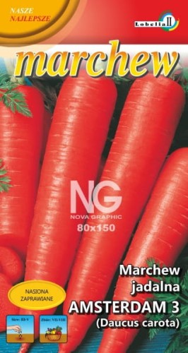 Marchew Amsterdam 3 wczesna 3g  / L /