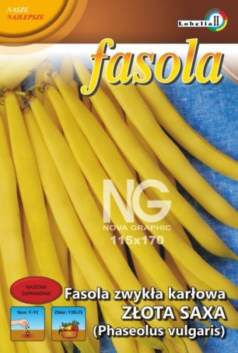 Fasola żółta karłowa Złota Saxa 20g  / L /