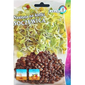 Nasiona na kiełki Soczewica 20g  / L /