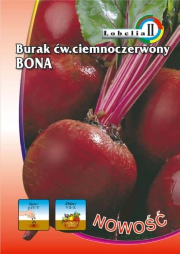 Burak Ciemnoczerwony Bona 10g  / L /