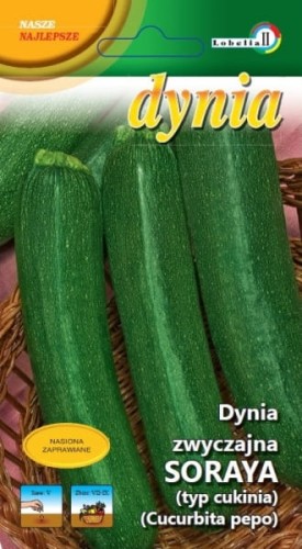 Dynia zwyczajna cukinia Soraya 2g  / L /