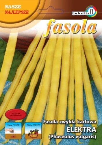 Fasola zwykła karłowa Elektra 50g   / L /