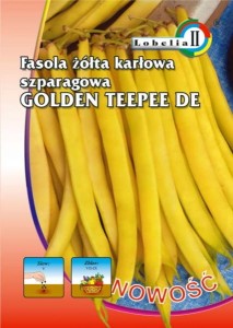 Fasola żółta karłowa Golden Teepee 30g  / L /