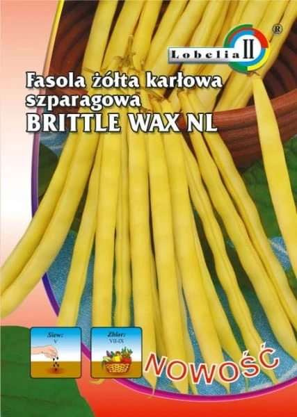 58304_53617