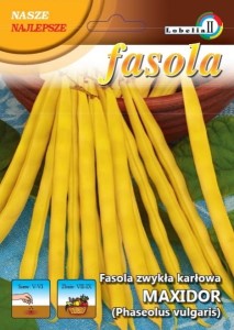 Fasola żółta karłowa Maxidor 40g  / L /