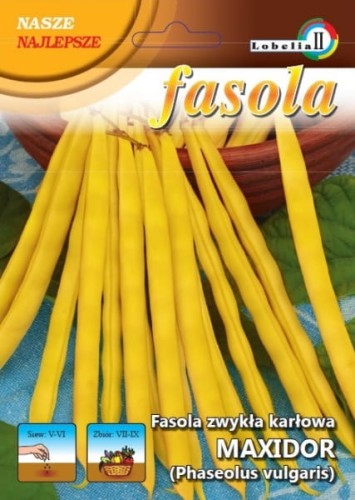 Fasola żółta karłowa Maxidor 40g  / L /