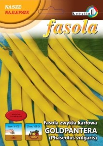 Fasola żółta karłowa GOLDPANTERA 40g  / L /