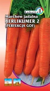 Marchew BERLIKUMER 2 typ perfekcja 5g  / L /