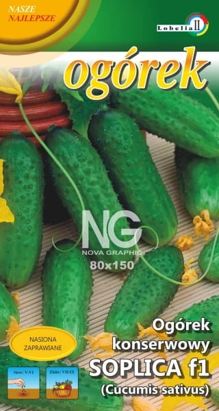 58387_53667