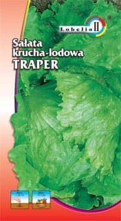 Sałata krucha Traper 1g  / L /