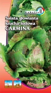 Sałata krucha lodowa Carmina 0,5g  / L /