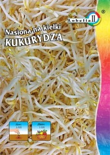 Nasiona na kiełki Kukurydza 40g  / L /