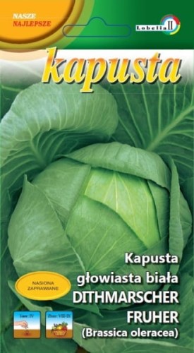Kapusta biała Ditmarska Najwcześniejsza 2g  / L /