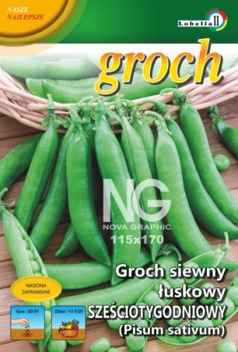 Groch łuskowy Sześciotygodniowy 50g  / L /