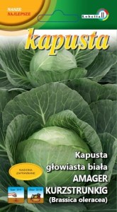 Kapusta późna Amager Polana  2g  / L /