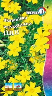 Aksamitka wąskolistna Lulu 0,3g  / L /