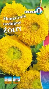 Słonecznik ozdobny wysoki żółty 2g  / L /