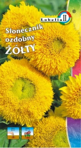 Słonecznik ozdobny wysoki żółty 2g  / L /