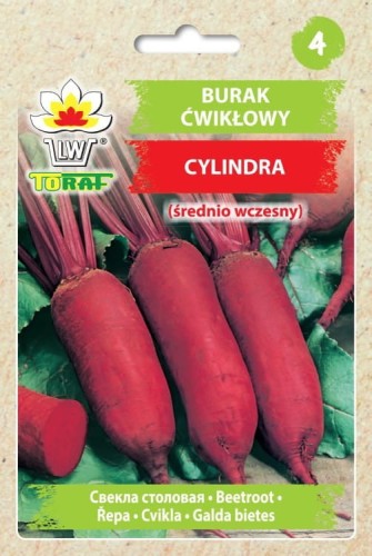 Burak ćwikłowy podłużny Cylindra 10g  / T /