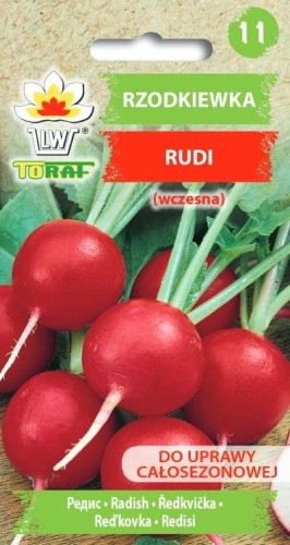Rzodkiewka Rudi  5g  / T /