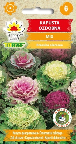 Kapusta ozdobna mix 0,5g  / T /