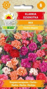 Klarkia Dzierotka mix  0,5g  / T /