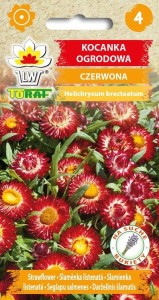 Kocanka ogrodowa czerwona 0,5g  / T /