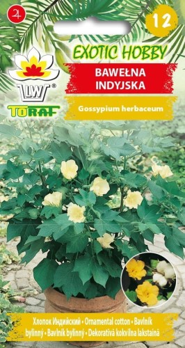 Bawełna indyjska 5 szt.  / T /