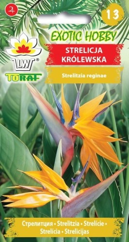 Strelicja królewska 5 szt. 1g  / T /