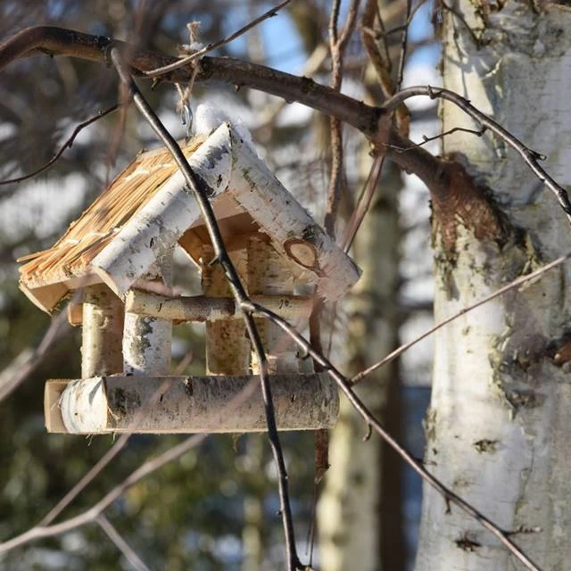 58911_54161