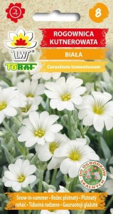 Rogownica kutnerowata biała 0,2g  / T /