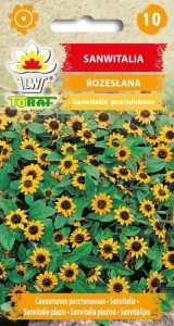 Sanwitalia rozesłana  0,5g  / T /