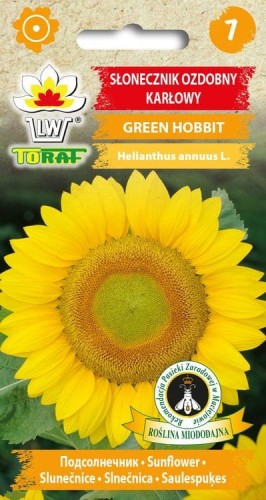 Słonecznik ozdobny Green Hobbit 1g  / T /
