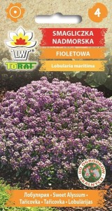 Smagliczka nadmorska fioletowa 0,5g  / T /