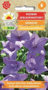 Rozwar wielkokwiatowy 0,2g  / T /