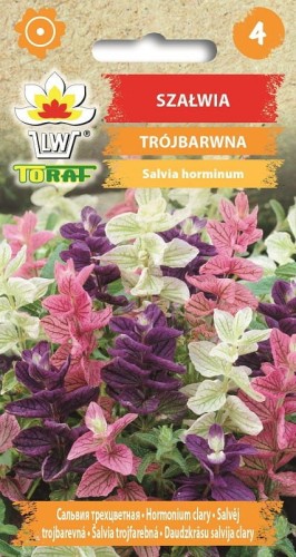 Szałwia trójbarwna  0,5g  / T /