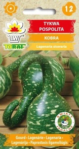 Tykwa pospolita Kobra 6 szt.  / T /