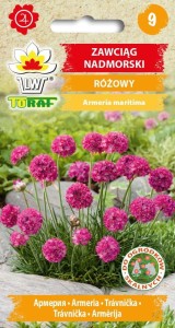 Zawciąg nadmorski różowy  0,1g  / T/