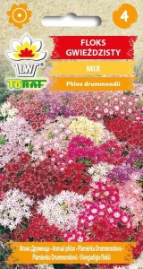 Floks Gwiaździsty mieszanka 0,5g  / T /