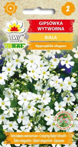 Gipsówka wytworna  biała 1g  / T /