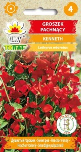 Groszek pachnący Kenneth  1g / T /