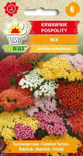 Krwawnik pospolity mix 0,2g  / T /