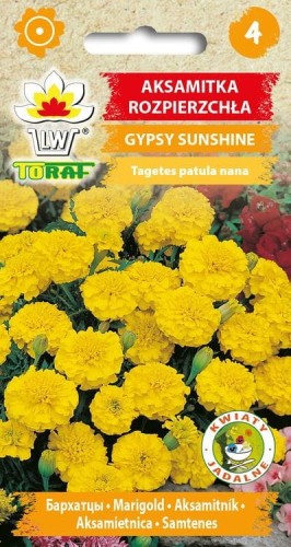 Aksamitka rozpierzchła Gypsy Sunshine 1g  / T /