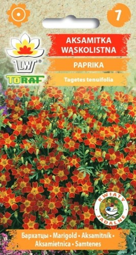 Aksamitka Paprika 0,5g  / T /