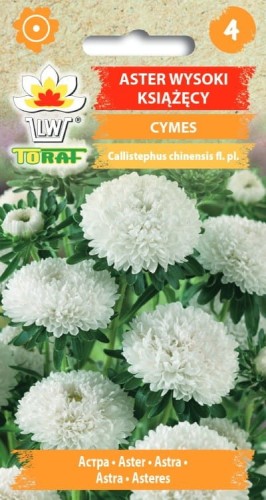 Aster książęcy Cymes biały 1g  / T /