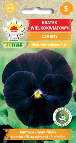 Bratek wielkokwiatowy czarny 0,2g  / T /