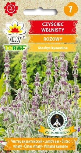 Czyściec wełnisty - miododajny 0,2g   / T /